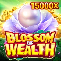 Hỗ Trợ Khách Hàng 911WIN