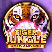 Quy tắc chung sòng bạc trực tuyến 911win