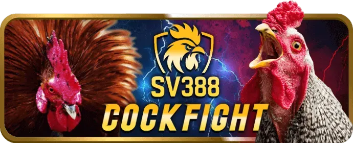 Chương trình VIP 911WIN